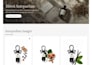 develop or redesign wordpress website and fix bugs