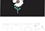 professionally vectorize, restore, and redesign your logo or image