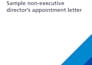 draft professional employment agreement  customized contracts