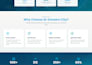 be next js developer