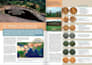 design your professional magazine layout and editorial design