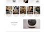 create a winning shopify dropshipping store using the latest shopify theme