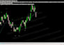 build custom ninjatrader or thinkorswim bots, indicators and strategies