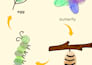 design preschool and homeschool pintables