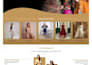design stunning wordpress website