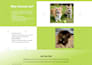 design wix ecommerce online store with payments and SEO