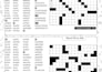 create professional word and number fill in puzzle books for amazon KDP