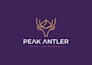 design modern minimalist logo for startup business