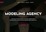 design a high converting elementor landing page or sales page