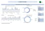 clean, format, organize and split  excel data professionally