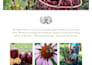 develop membership website or subscription website on wordpress