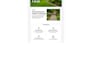 responsive wordpress website with elementor or custom code