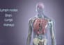 create 3d cancer drug mechanism of action medical animation pharma biotech video