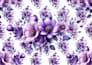 design seamless patterns for textile, fabric print, floral patterns