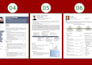 do professional resume design, modern CV design in canva