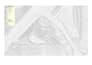 convert topographic survey maps from PDF to autocad dwg