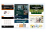 build divi 5 wordpress websites with premium divi theme customization