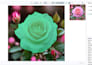 do image annotation, bounding box, polygon, and data labeling for ai, ml