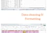 do data cleaning ,formatting and pivot tables ,charts