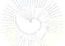 do genetic diversity analysis and haplotyping