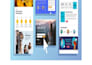 develeop a robust and responsive website