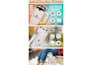 design amazon ebc enhanced brand content a plus pages