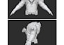 do clean retopology and uv mapping for your 3d character