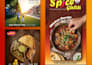design social media posts