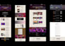 design a responsive wordpress website using elementor pro and speed optimization