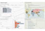 perform financial, managerial, statistical and data analysis