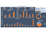 perform financial, managerial, statistical and data analysis