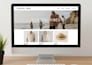 build shopify dropshipping store ecommerce website