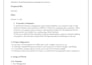 create professional software proposal