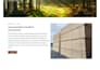 design a modern responsive website with HTML CSS javascript