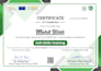 professional soft skills certificate for visa work, immigration