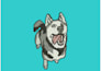 do custom pet embroidery digitizing