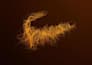 create high end 3d product animation and vfx cgi