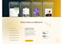 design a modern wordpress website with SEO for small businesses