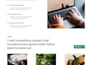 build fix develop bricks builder SEO friendly landing page or website fast