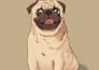 draw a cute pet illustration within 24 hours