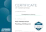 perform manual API penetration testing and owasp API top 10 security audit