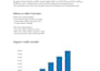 professional SEO website audit and competitor analysis