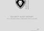 perform penetration testing and deliver a detailed security report