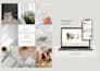 create reels, stories and posts in your instagram page or social media channel