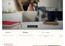 design a professional, modern shopify store with custom template, dropshipping