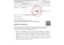 provide one stop china visa document preparation and application support
