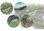 create digital landscape and architectural sketches