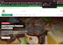 remove malware and fix google ads disapproval
