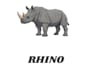 design creative animal flashcards for kids