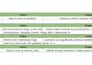 do on page SEO of wordpress or shopify website